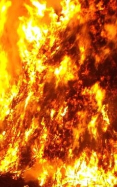 Incendiu de proporții la o hală din Mogoșoaia. Forțe impresionante de intervenție, pompierii au mobilizat 8 autospeciale
