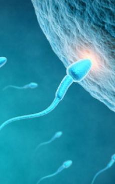 Cat traiesc spermatozoizii si cum poate fi imbunatatita calitatea lichidului seminal