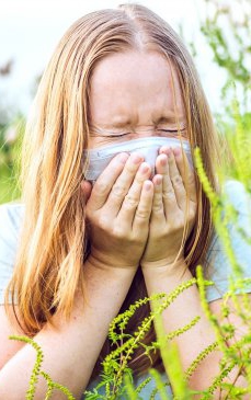 Alergie la ambrozie: cauze, simptome, tratament și prevenție
